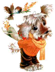chien